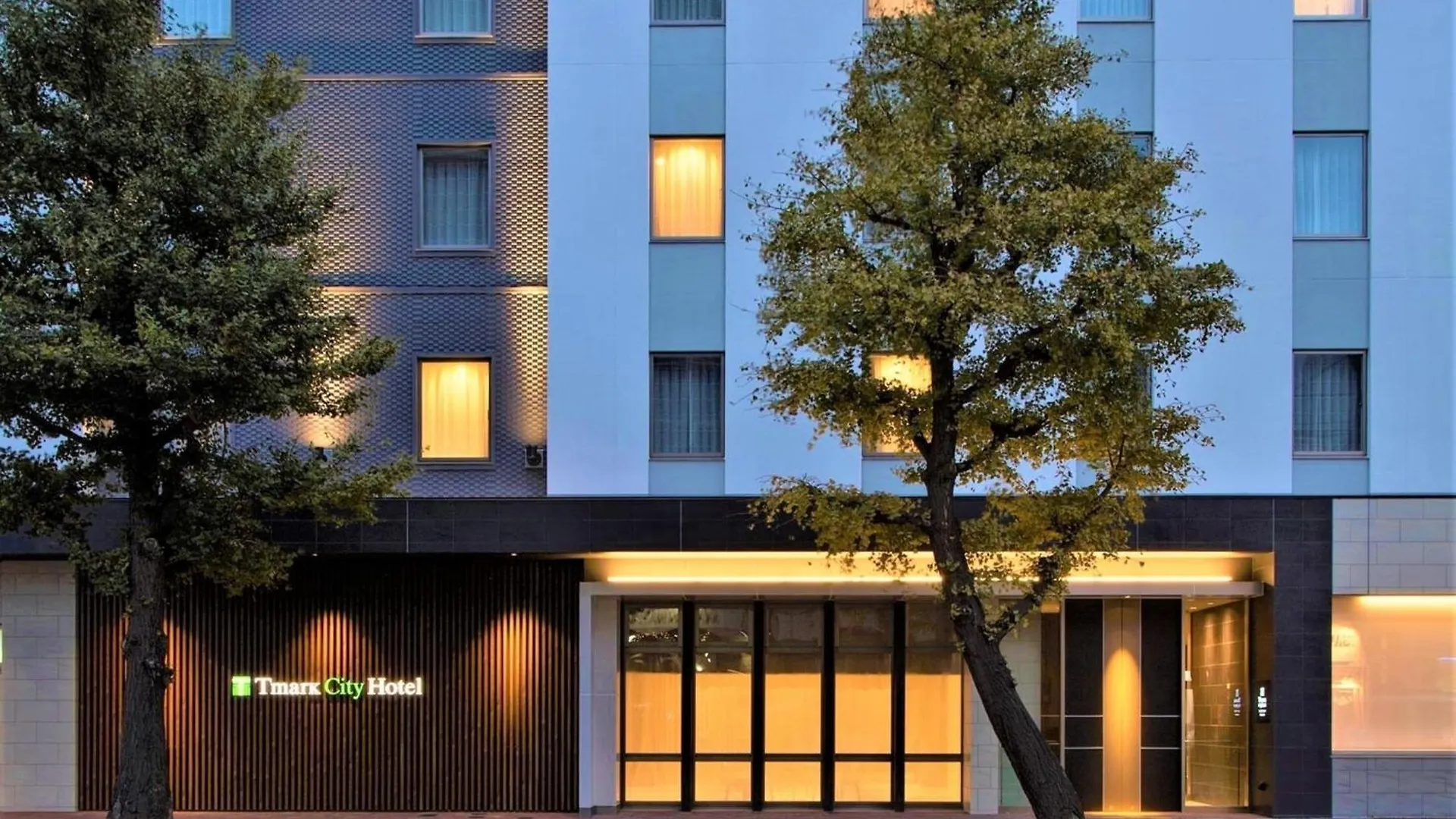 Tmark City Hotel Sapporo Odori - Vacation Stay 85601V 0*,